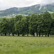 Lindenallee in Mondsee