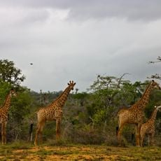 Quissama National Park