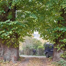 Lípy u kapličky v Ondřejově