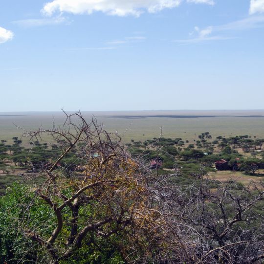 Serengeti