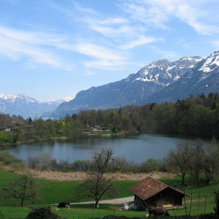 Burgseeli