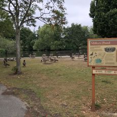 Millers Pond