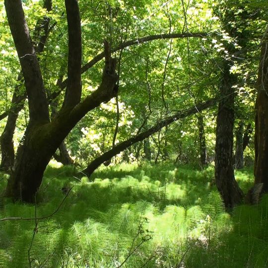 Nationalpark Marmaris