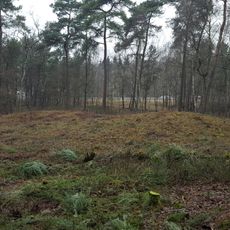 Tumuli Wolfheze near A50