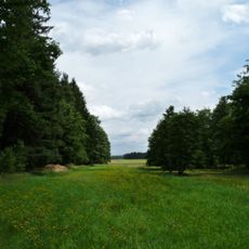 Rašelinná louka u Proseče-Obořiště