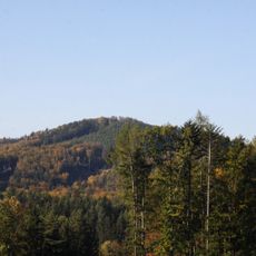 Bzová (natural monument)