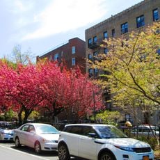 Plaza Lafayette