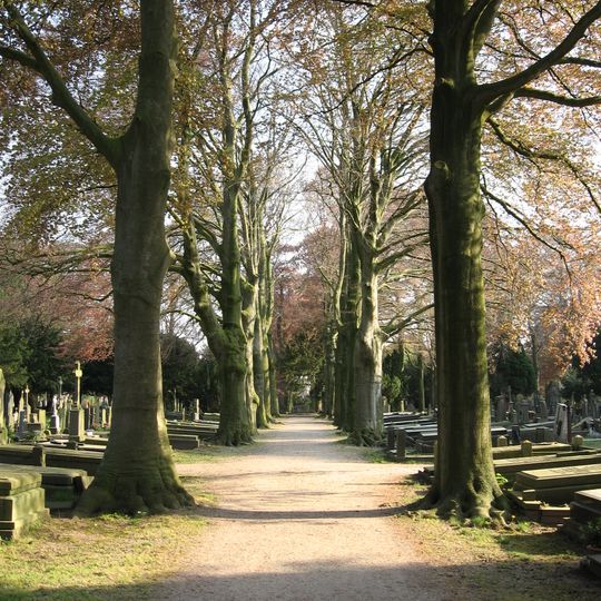 Begraafplaats Daalseweg