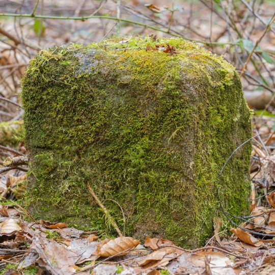 Grenzstein Fürther Stadtwald in Fürth