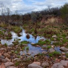 Wet Beaver Wilderness