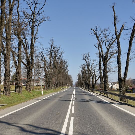 Aleja akacjowa w Dukli