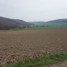 Freiflächen im Lühlingsbachtal
