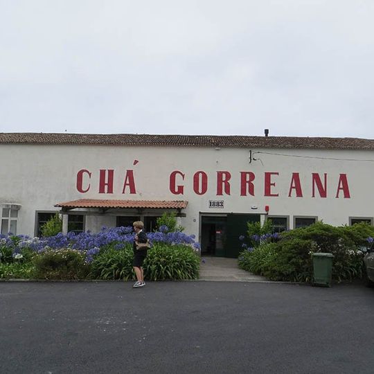Chá Gorreana