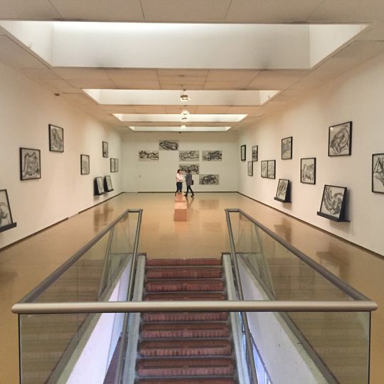 Museo de Artes Visuales