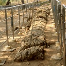 Sathanur fossilized tree trunks