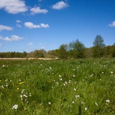 Wennebeker Moor und Langwedel