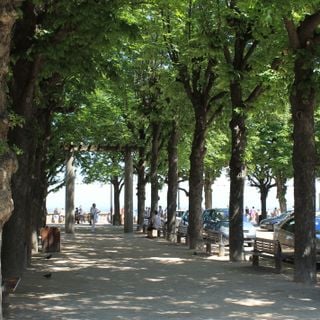 Esplanade de Fourvière