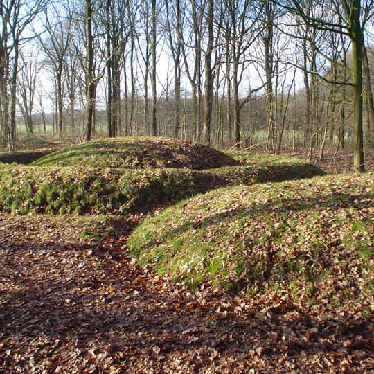 Tumuli of Toterfout-Halve Mijl
