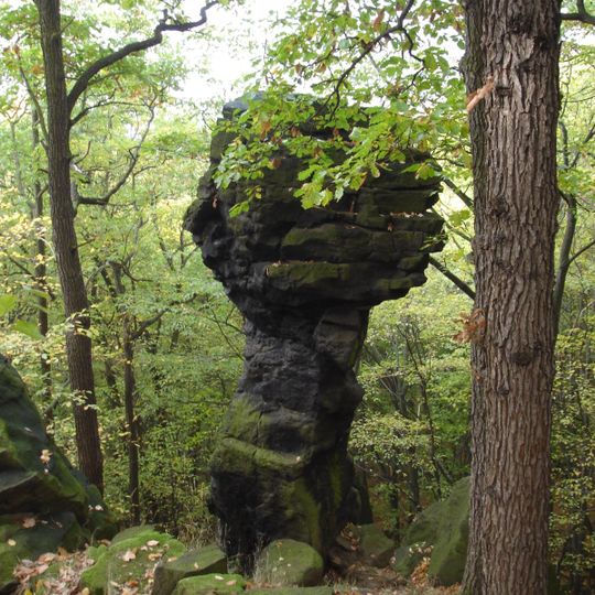 Magnetovec – Skalní hřib