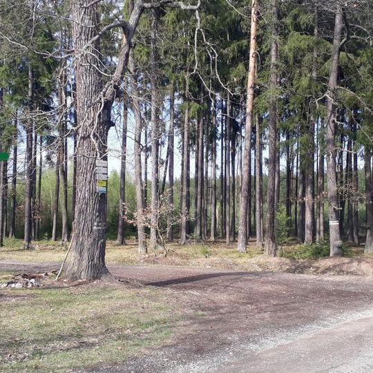 Kříž nad Vobořickou hájovnou u rozcestí