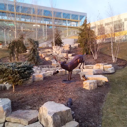 College of DuPage