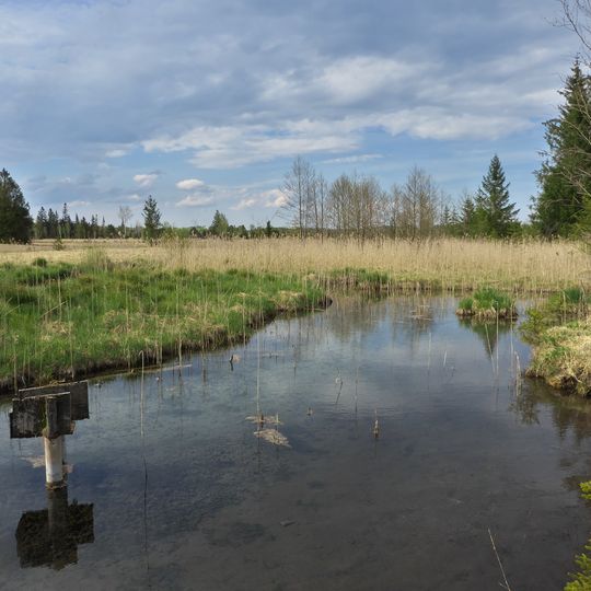 Ellbach- und Kirchseemoor