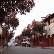 Población William Noon