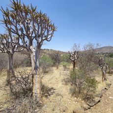 Südwest-Naturreservat