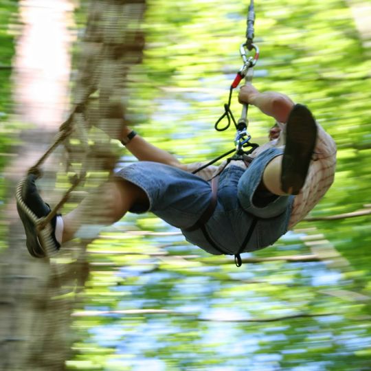 Forest Adventure Treeclimbing Park Bad Neuenahr