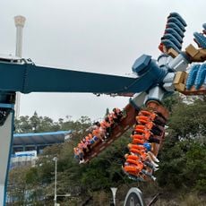 Wild Twister