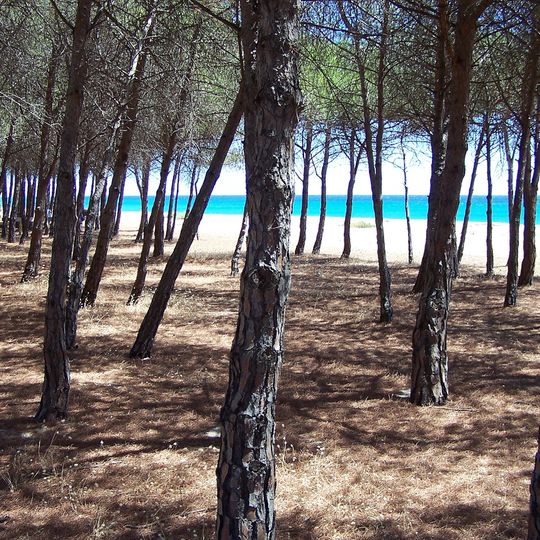 Spiaggia di Su Barone