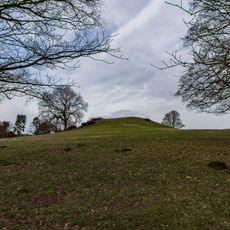 Saxon's Lowe, Tittensor Common