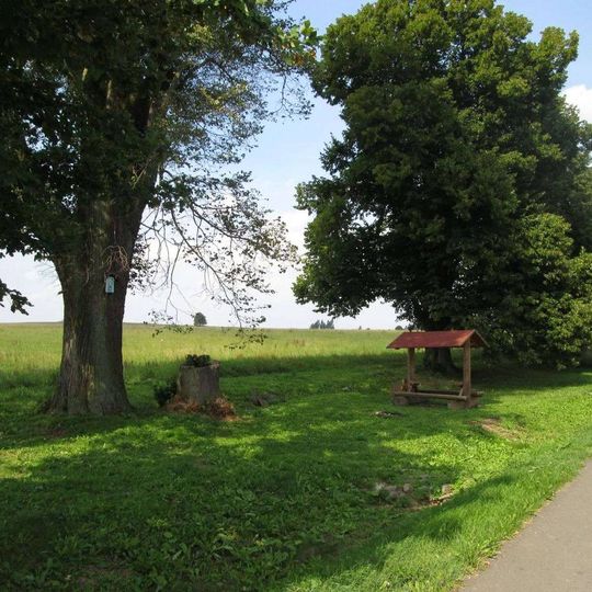 Obrázek na stromě u Damnova