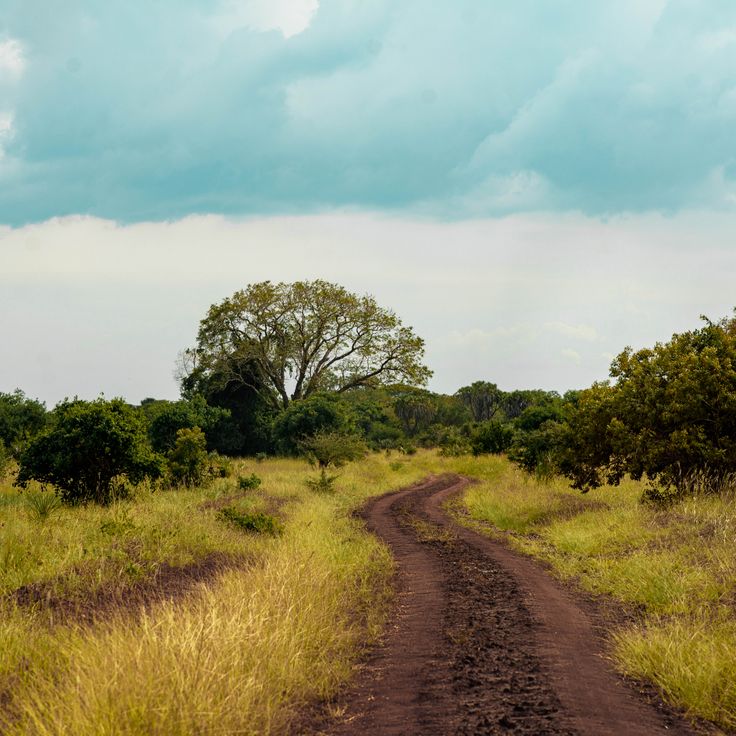 Park Narodowy Saadani