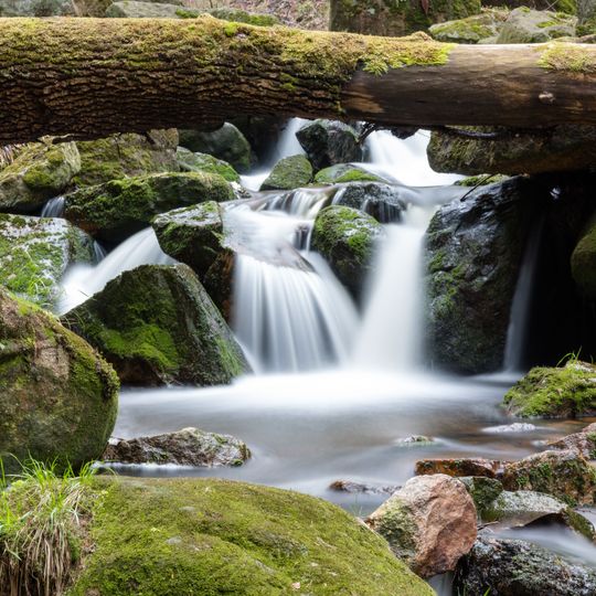 Harz National Park