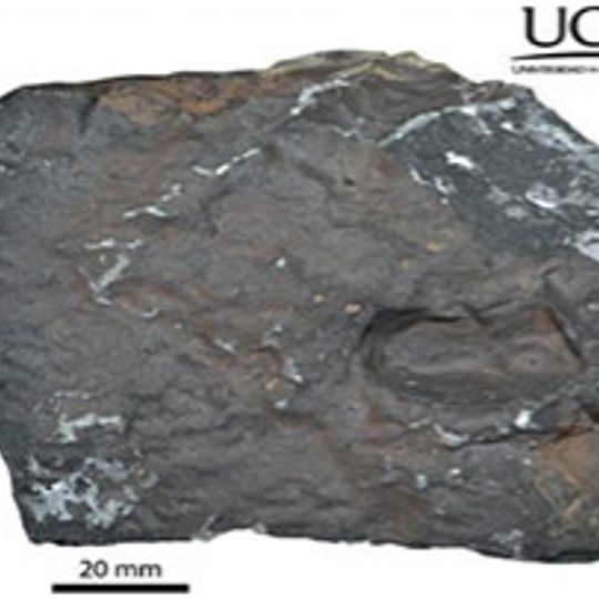 Aguas Zarcas meteorite