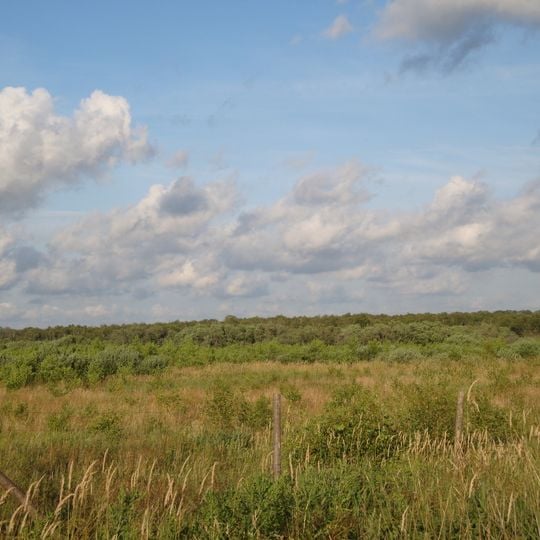 Nature reserve Nowe Wicko