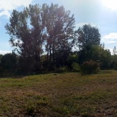 Park Konna Street in Łódź