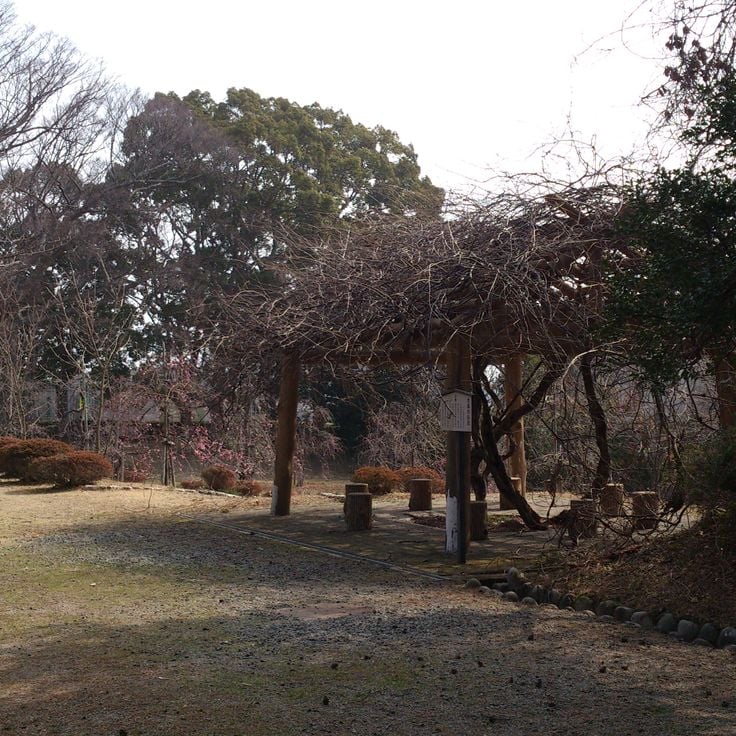 Rikyū-in