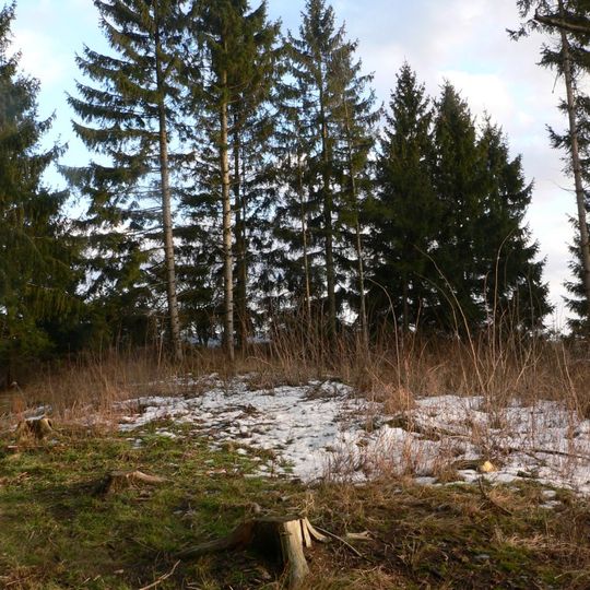 Befestigung auf der Zottaschen