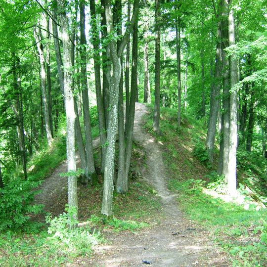 Kiukiškiai hillfort