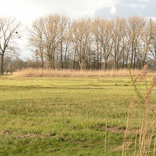Wendschotter und Vorsfelder Drömling mit Kötherwiesen