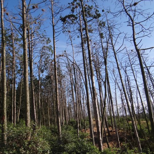 Rezerwat przyrody Kąty Rybackie