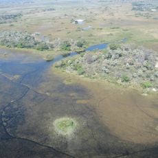 Delta dell'Okavango