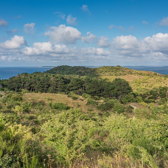 Dornbusch und Schwedenhagener Ufer