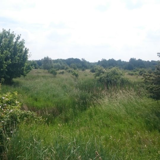 Am Rümpfwald Glauchau