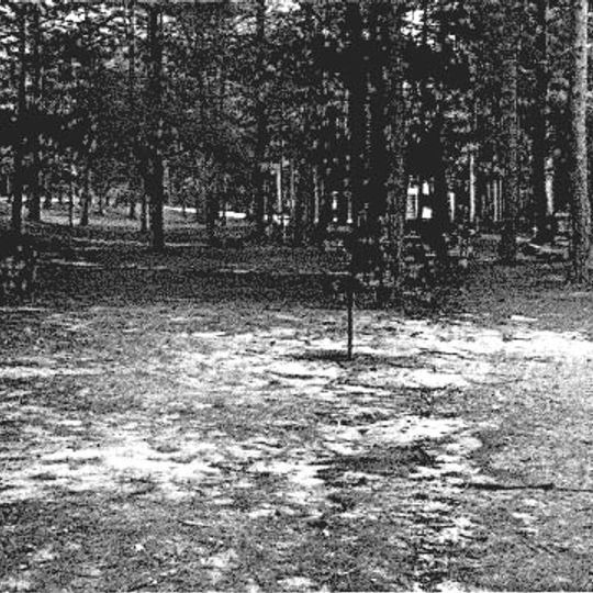 Platte River Campground Site