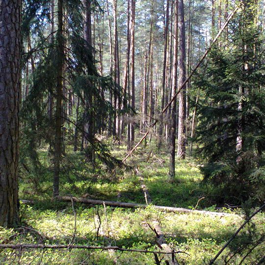 Rezerwat przyrody Tabory