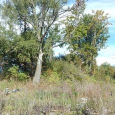 Grabhügel bei Ottestad, Norwegen