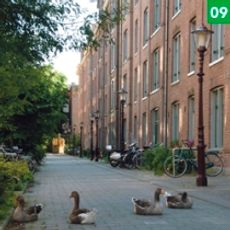 Planciusstraat 8, Amsterdam